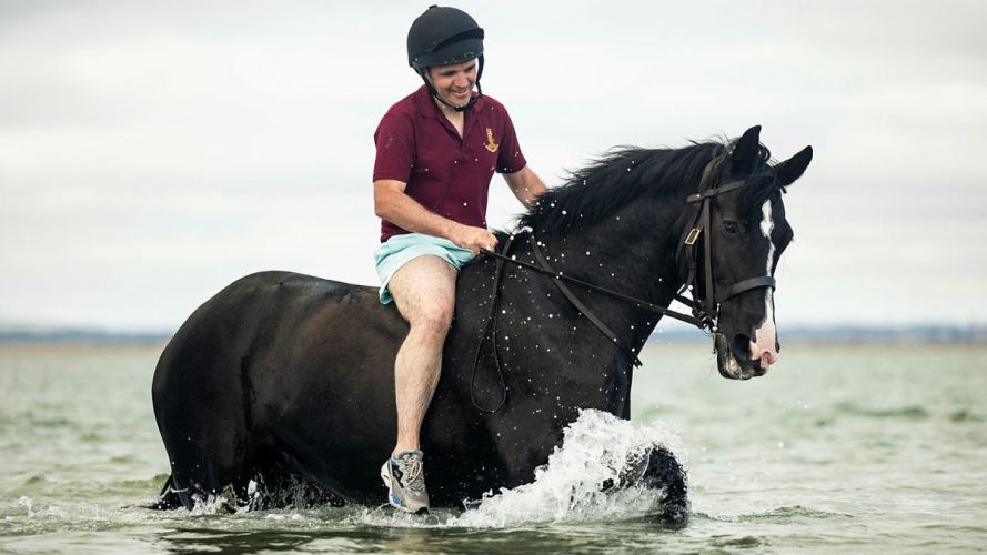 Household Cavalry Horses Hayling Island cred MOD