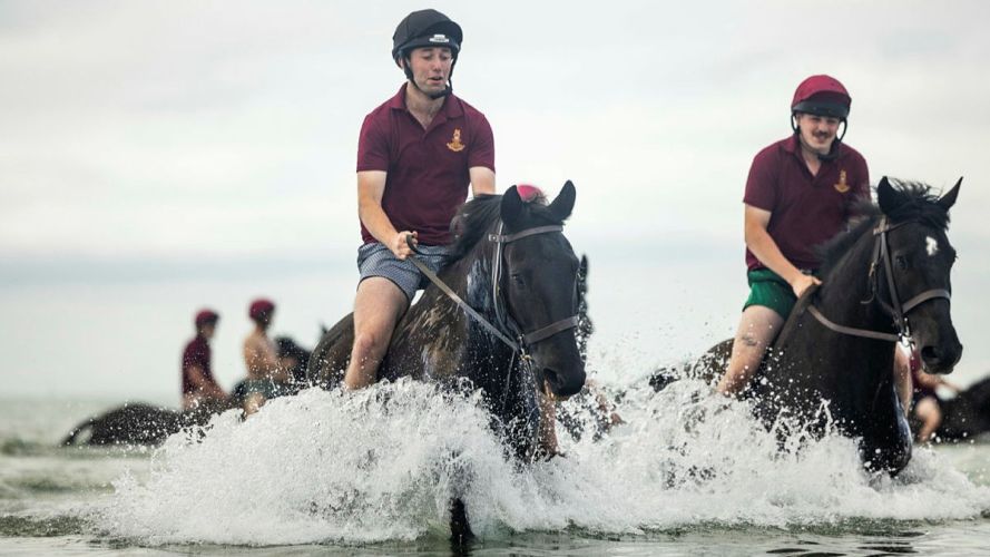 Household Cavalry Horses Hayling Island cred MOD