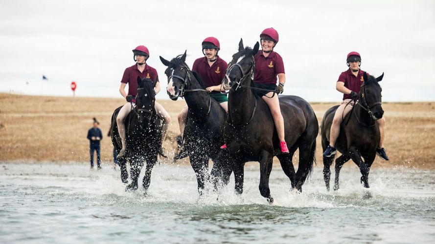Household Cavalry Horses Hayling Island cred MOD