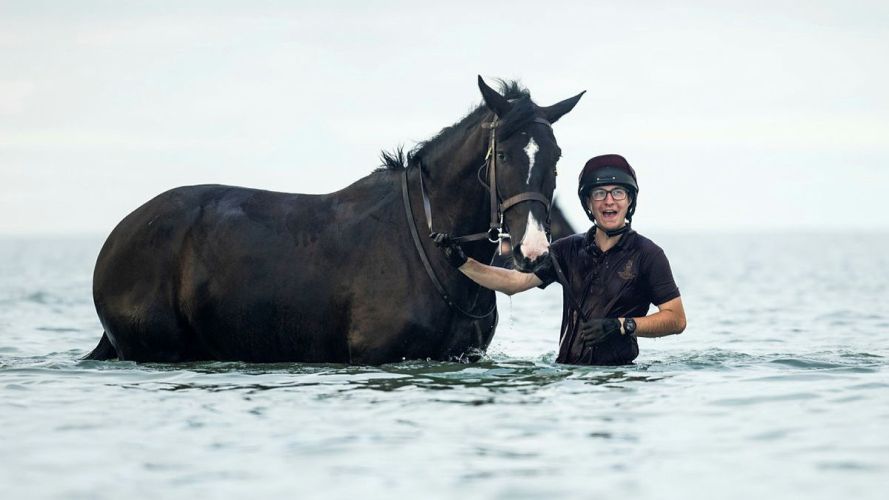 Household Cavalry Horses Hayling Island cred MOD