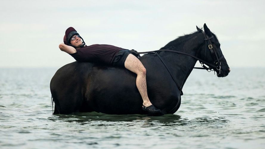 Household Cavalry Horses Hayling Island cred MOD