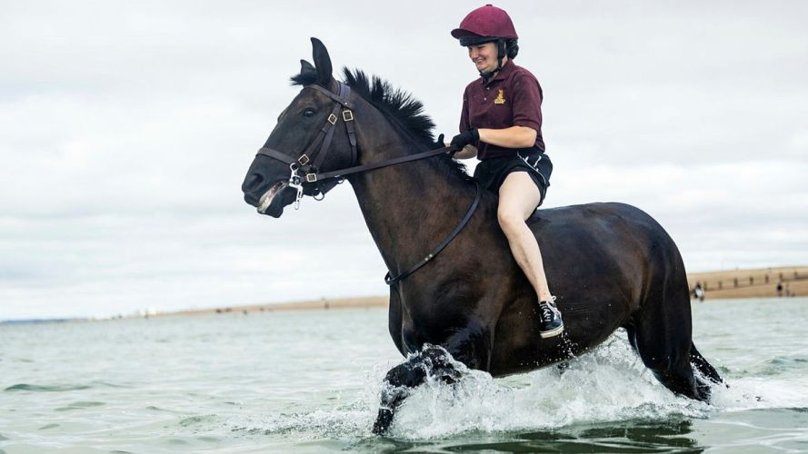 Household Cavalry Horses Hayling Island cred MOD