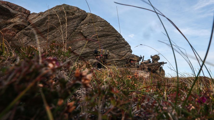 Commandos needed to stay alert while trying to conceal themselves using the environment around them - but beware making a silhoutette against the skyline Commandos needed to stay alert while trying to conceal themselves using the environment around them - but beware making a silhoutette against the skyline