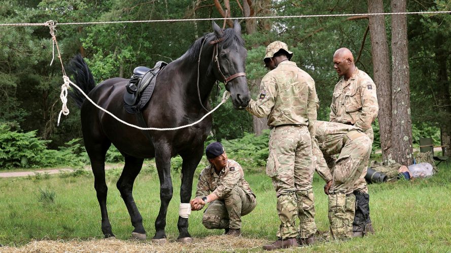 In addition to experimenting with camouflage, the HCMR soldiers got the chance to learn and put into practice their equine first aid skills