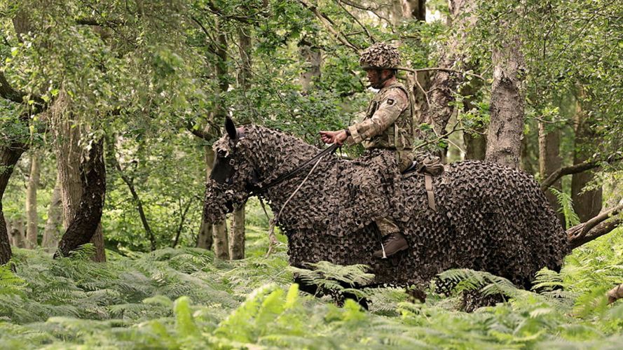 The camo does work quite well and would look even better in more autumnal terrain, with the main visible tells being the reflection of the stirrups and the soldier's hands