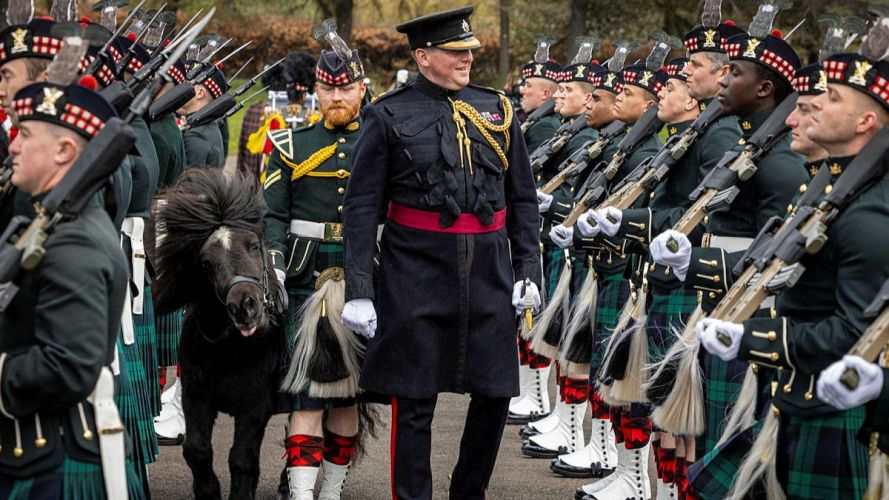 The Household Division's Brigade Major, Lieutenant Colonel Charles Foinette, is joined by Royal Regiment of Scotland mascot Cruachan IV and Pony Major Rory Walker during the inspection