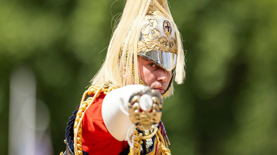While this year it was the turn of King's Company, 1st Battalion Grenadier Guards to troop their Colour, the event included soldiers from the entire Household Division, including this officer from The Life Guards
