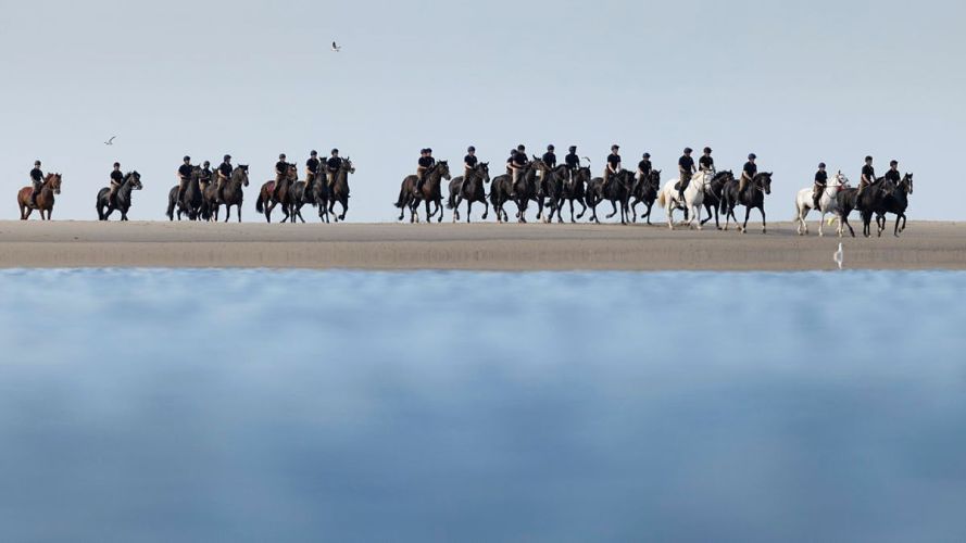 Soldiers and horses from the Household Cavalry Mounted Regiment at Hayling Island beach (Picture: MOD) 19082026 Soldiers and horses from the Household Cavalry Mounted Regiment at Hayling Island beach pic MOD