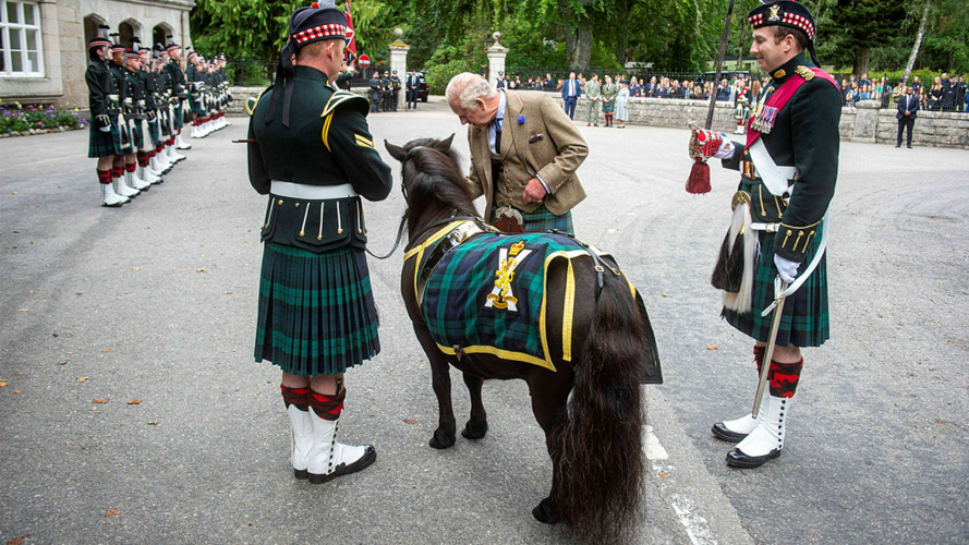 Regiments mascot Cp Cruachan IV