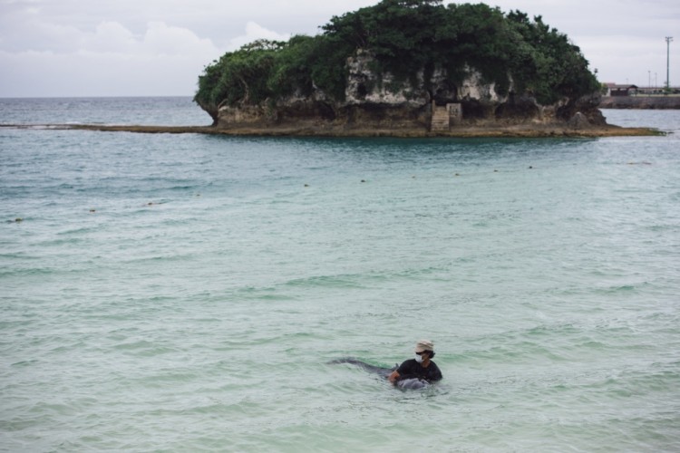 US Airmen Rescue Rare Dwarf Sperm Whale