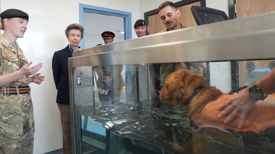The Princess Royal watches Archer in a hydrotherapy pool during a visit to Kendrew Barracks in Cottesmore (Picture: PA) The Princess Royal watches Archer in a hydrotherapy pool during a visit to Kendrew Barracks in Cottesmore (Picture: PA)