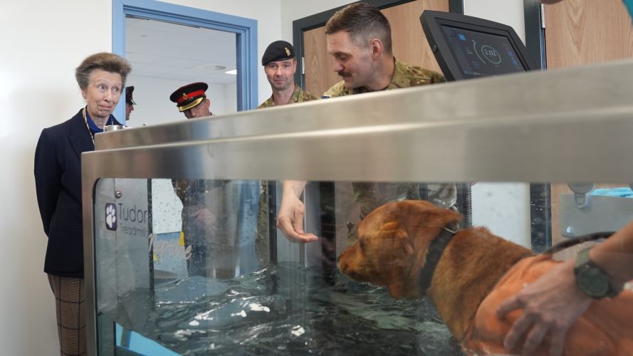 The Princess Royal watches Archer in a hydrotherapy pool during a visit to Kendrew Barracks in Cottesmore (Picture: PA) The Princess Royal watches Archer in a hydrotherapy pool during a visit to Kendrew Barracks in Cottesmore pic PA