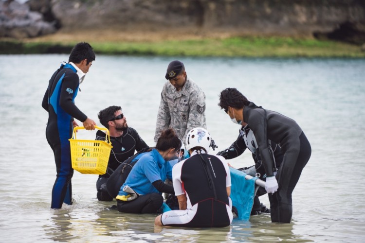 US Airmen Rescue Rare Dwarf Sperm Whale