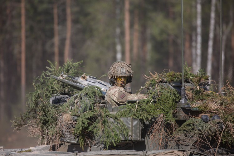 Brits On Ex Spring Storm In Estonia