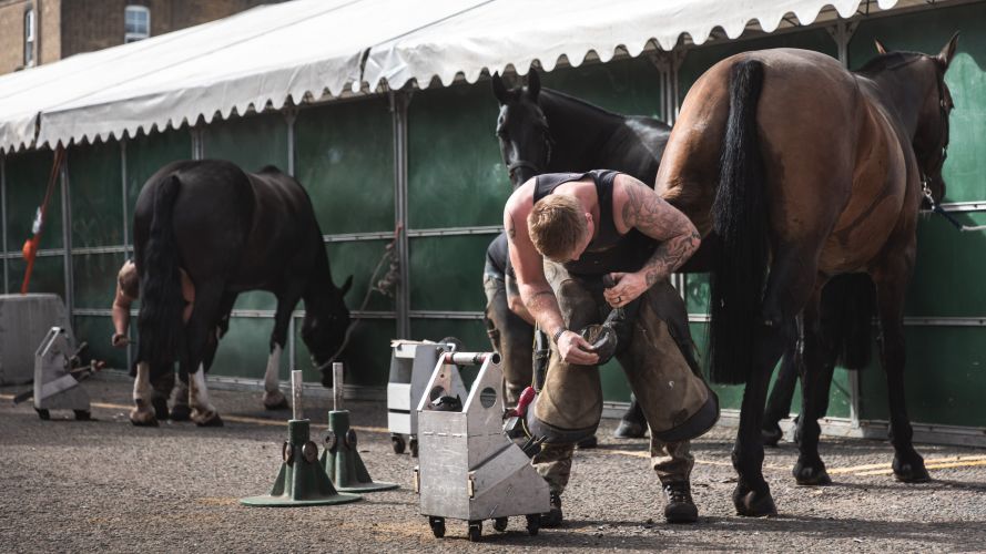 A farrier cleans the hooves of a horse from the Kings Troop Royal Horse Artillery in preparation of the Queen's procession 16092022 CREDIT MOD Crown Copyright.jpg