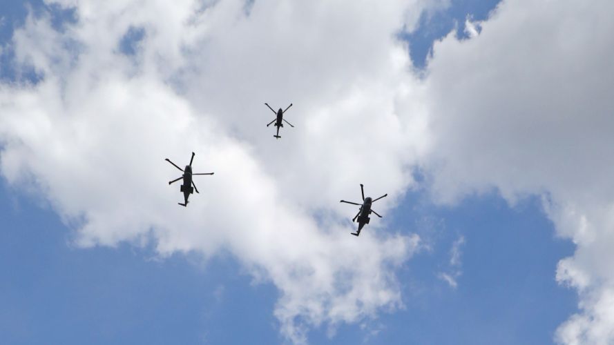 At look at helicopters performing the flypast (Picture: MOD Crown Copyright).