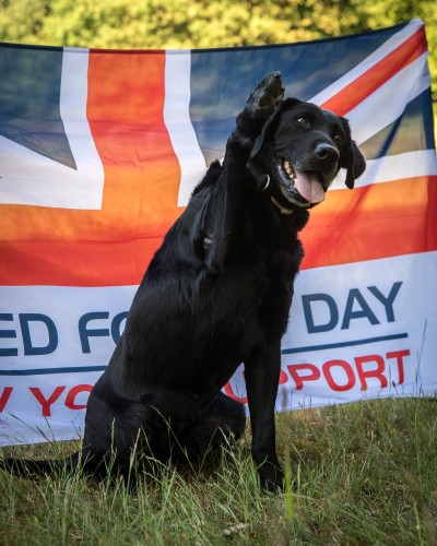 Armed Forces Day Flag Working Dog