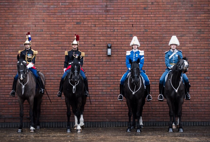 Queen's Cavalry inspection 