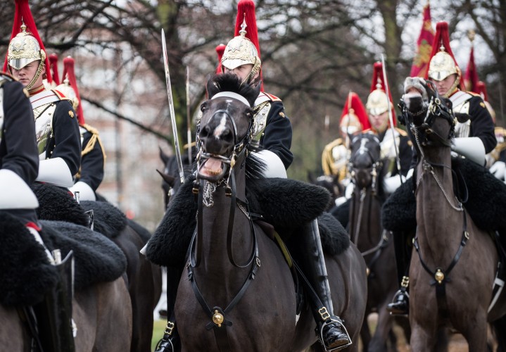 Queen's Cavalry inspection 