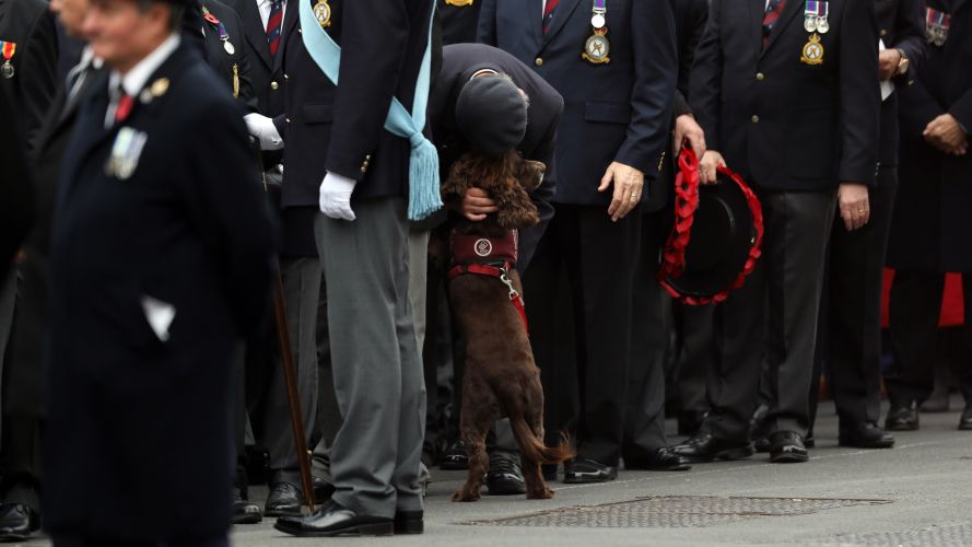 Armed Forces personnel came together at the Cenotaph in London for Remembrance Sunday 13112022 CREDIT MOD Crown Copyright.jpg