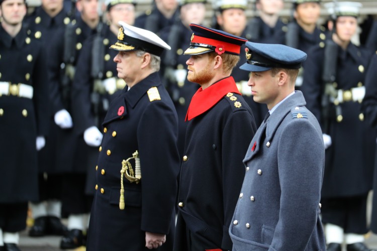 Prince William and Harry during Remembrance Sunday 2017 at Cenotaph - CREDIT: MOD