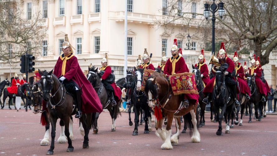 But this was no ordinary day at work for the equine musicians - it's Spring Drills