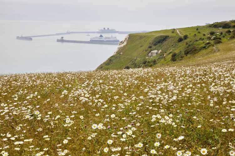 Dame Vera Lynn Down at the White Cliffs of Dover 17062021 CREDIT National Trust