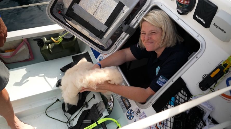 Final preperations seat pad Gemma from team Raring to row 10122022 CREDIT BFBS.jpg
