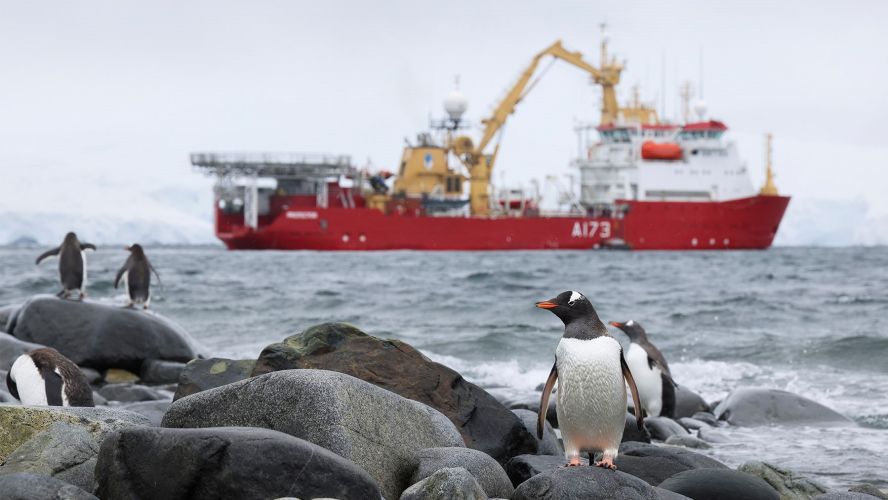 HMS Protector restock UK Antarctic Heritage Trust at Port Lockroy near nesting Gentoo penguins 25012022 CREDIT HMS Protector Twitter.jpeg