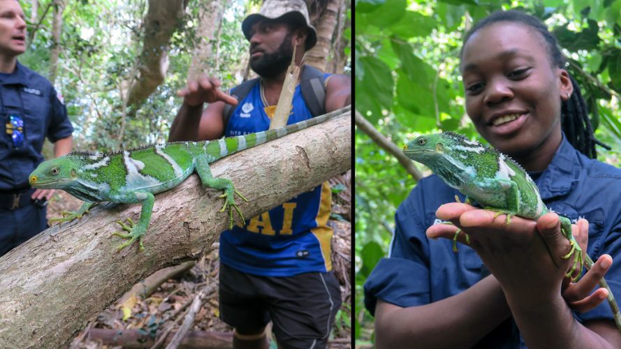 HMS Spey's crew are introduced to iguanas in a Pacific sanctuary 25082022 CREDIT Royal Navy, MOD.jpg