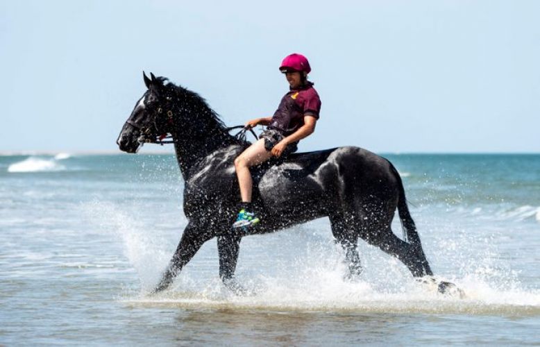 Household Cavalry on the beach in Norfolk 050719 Credit MOD