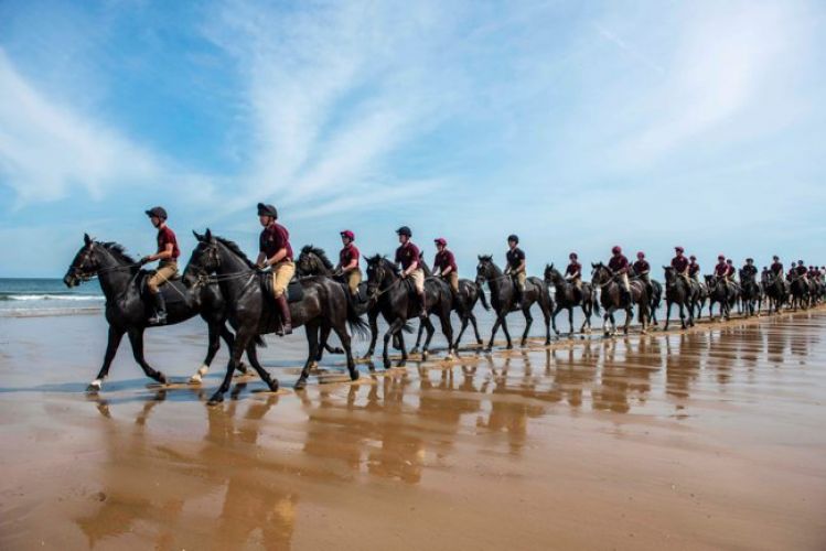 Household Cavalry on the beach in Norfolk training 050719 Credit MOD