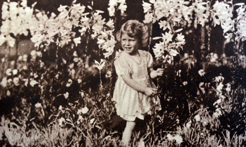The young princess gathers flowers in 1930 (Picture: World History Archive/Alamy Stock Photo). The young princess gathers flowers in 1930 (Picture: World History Archive/Alamy Stock Photo).