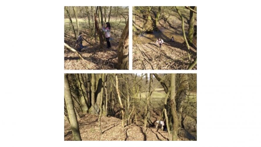 Children learning in woods