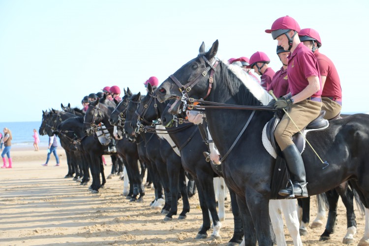Household Cavalry Take Horses On Holiday