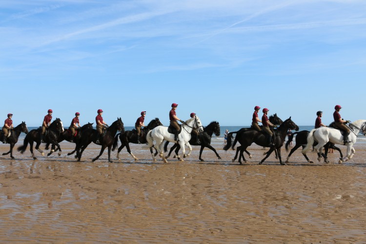 Household Cavalry Take Horses On Holiday