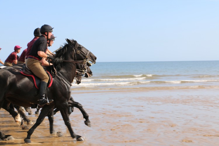 Household Cavalry Take Horses On Holiday