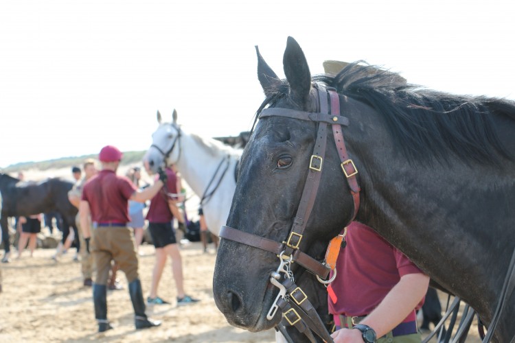 Household Cavalry Take Horses On Holiday