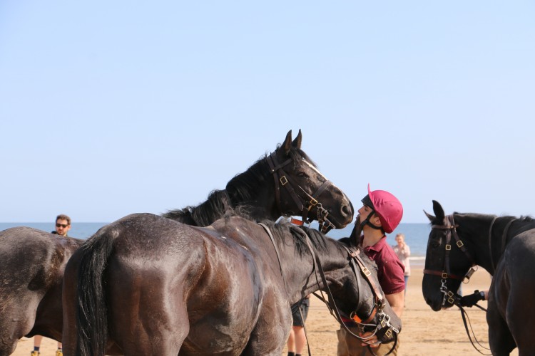 Household Cavalry Take Horses On Holiday