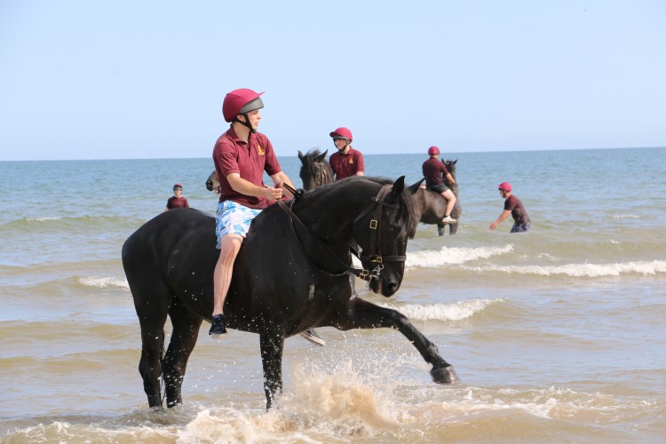 Household Cavalry Take Horses On Holiday
