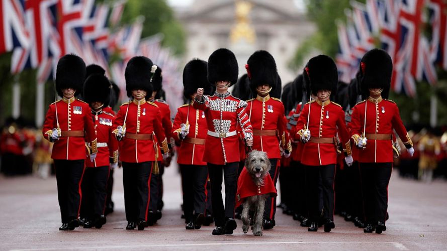 Members of the Household Division, including the regimental Irish Wolfhound mascot Turlough Mor, are seen here making their way down The Mall during the King’s Birthday Parade in London (Picture: MOD)