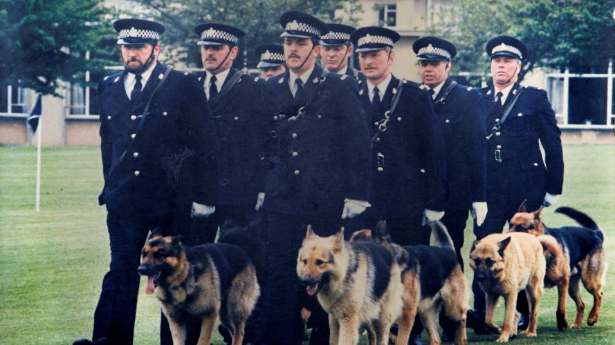 Ministry of Defence Police now have the second largest police dog capability in the UK DATE UNKNOWN Credit MDP.jpg 