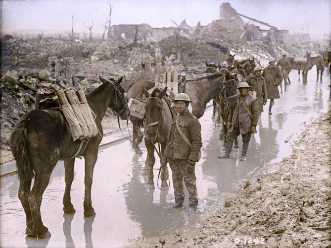 Pack horses transporting ammunition in 1917 (Picture: The Vimy Foundation).