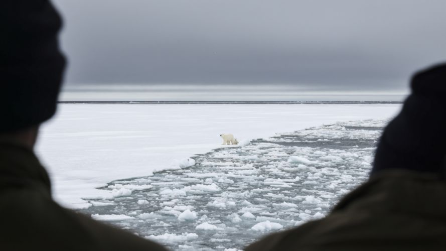 Personnel and specialists onboard HMS Protector spot a couple of polar bears on the ice (Picture: Royal Navy).