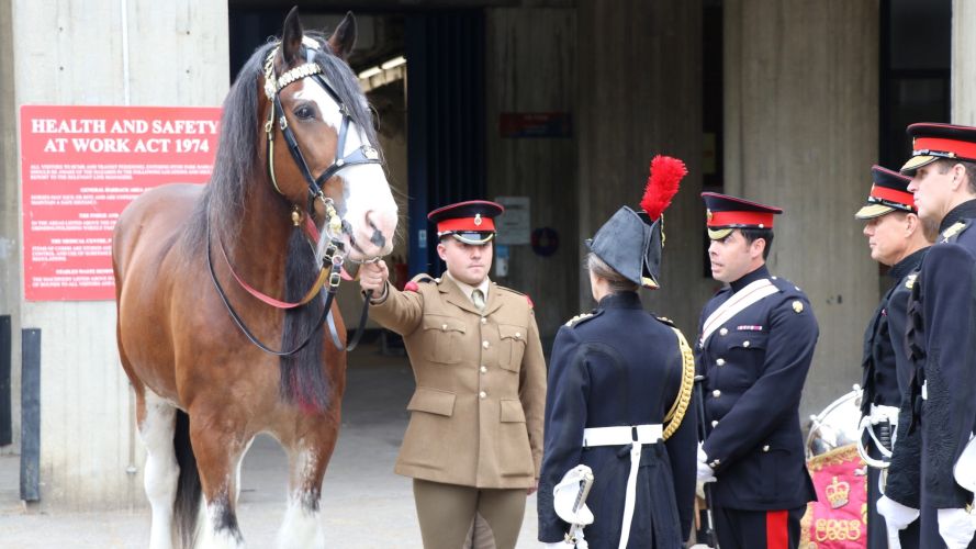 Princess Anne visited the Household Cavalrymen that took park in Queen's funeral 14102022 CREDIT The Household Cavalry, MOD.jpg