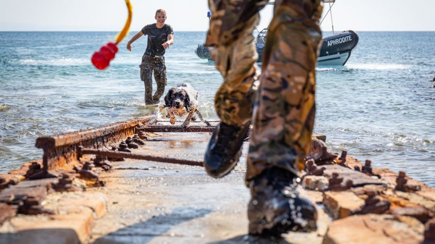 RAF Police dog handler and dog Molly during training exercise at RAF Akrotiri