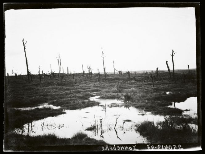 First World War battlefield