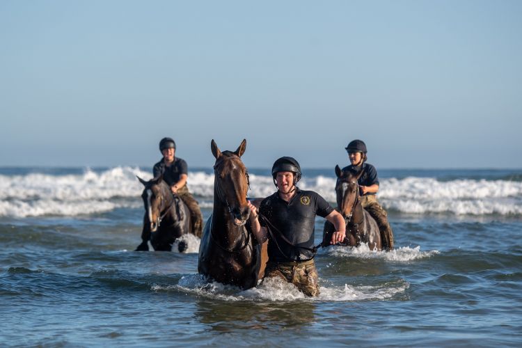 Soldiers and horses from The King's Troop Royal Horse Artillery exercise in the sea at Holkham in Norfolk