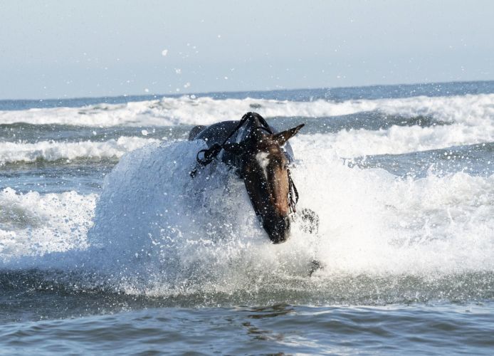 Soldiers and horses from The King's Troop Royal Horse Artillery exercise in the sea at Holkham in Norfolk 190919