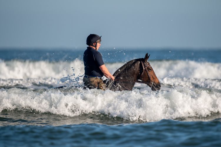 Soldiers and horses from The King's Troop Royal Horse Artillery exercise in the sea at Holkham in Norfolk 190919 CREDIT PA